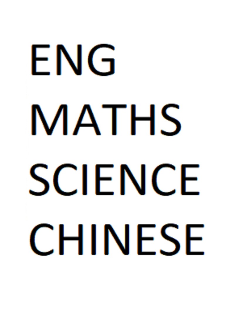 PRIMARY 3 2024 PAST YEAR EXAM PAPERS (Hard Copy)