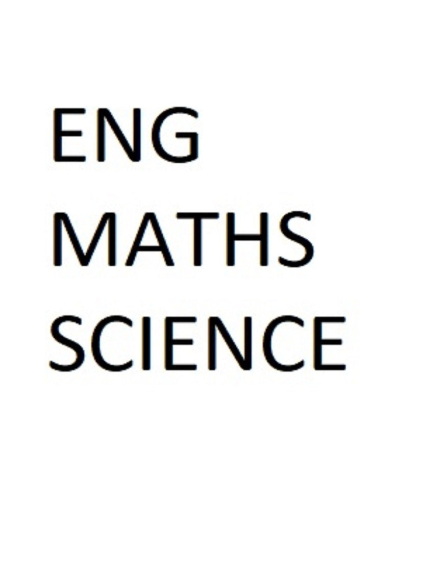 PRIMARY 3 2024 PAST YEAR EXAM PAPERS (Hard Copy)