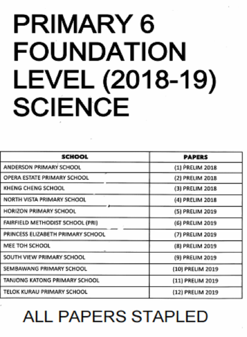 PRIMARY 6 FOUNDATION LEVEL (HARD COPY)